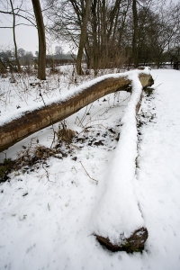 Correctly exposed snow photo